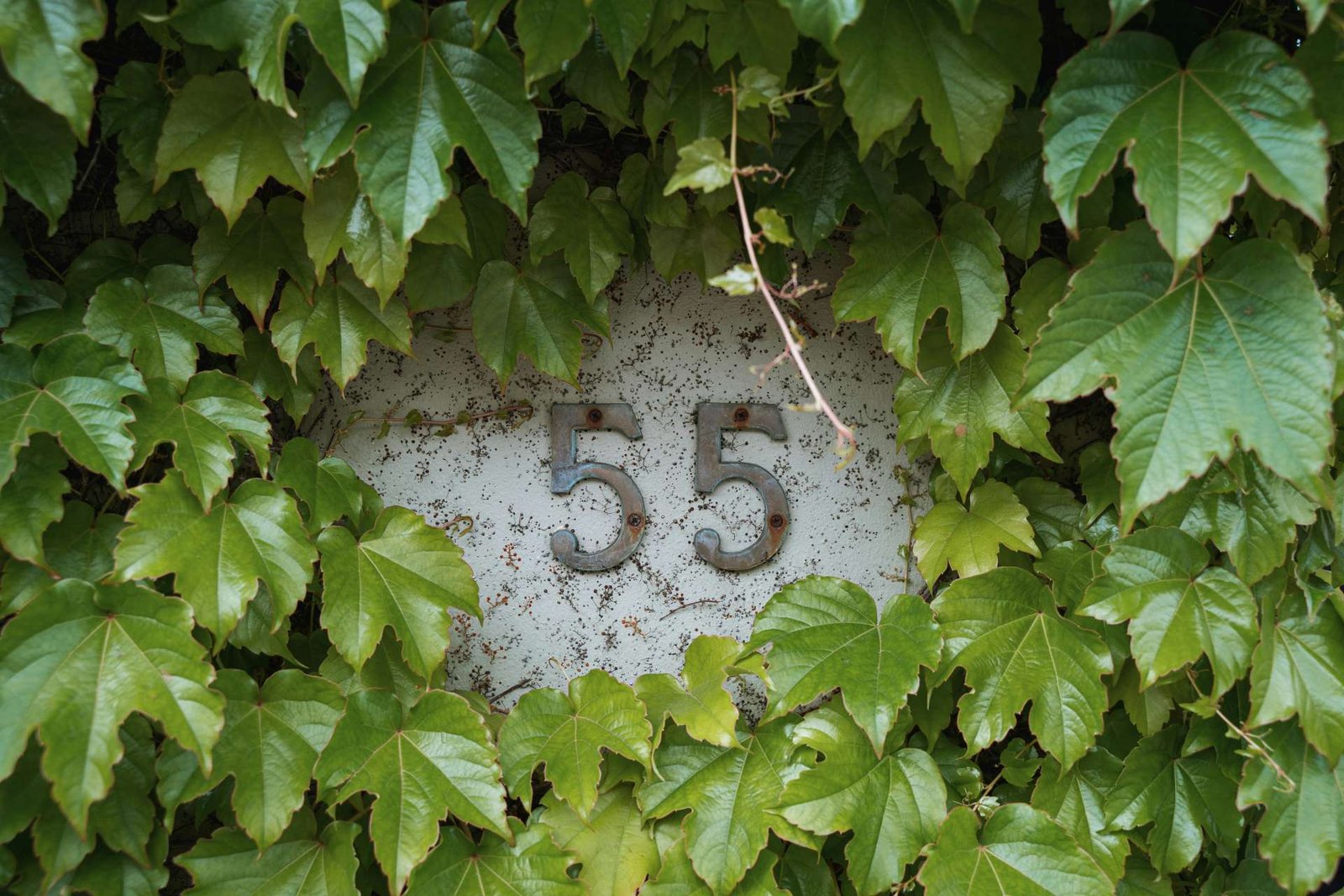 ড. মো. মুবাশ্বিরুল ফেরদৌস